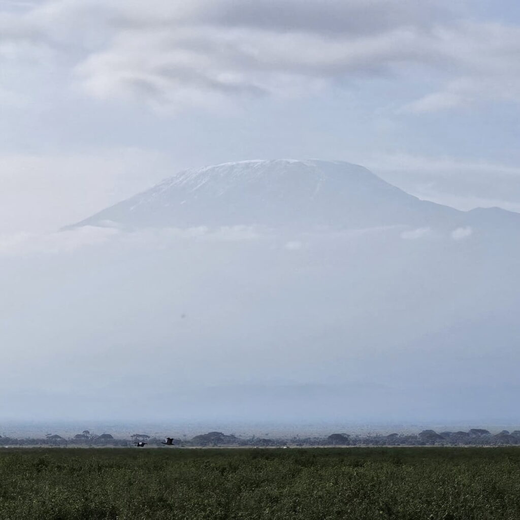 Paesaggio del Parco Amboseli con vista sul Kilimangiaro