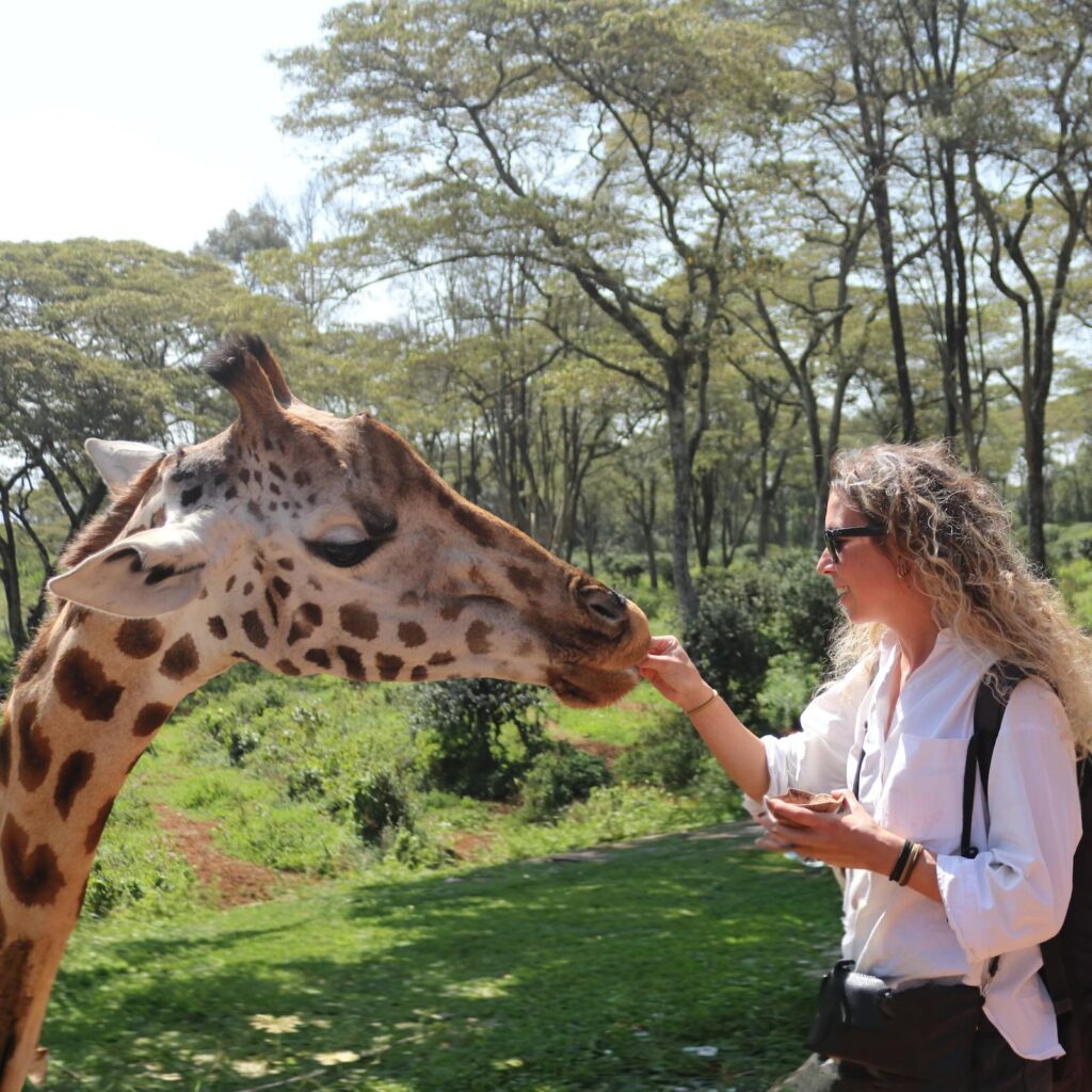 Incontro con le giraffe a Nairobi durante un itinerario di 10 giorni in Kenya