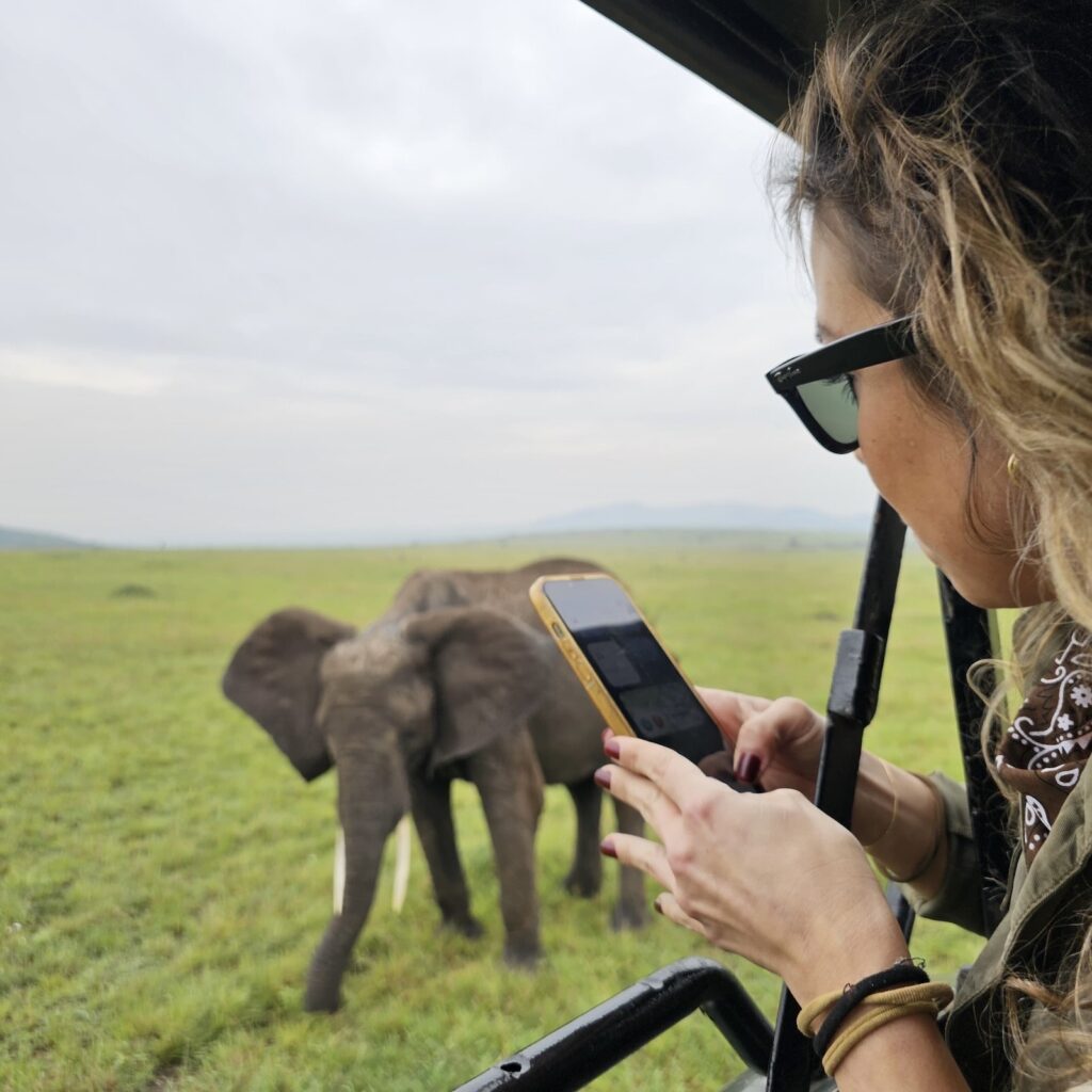 Avvistamento di elefanti nel Maasai Mara durante un safari in Kenya