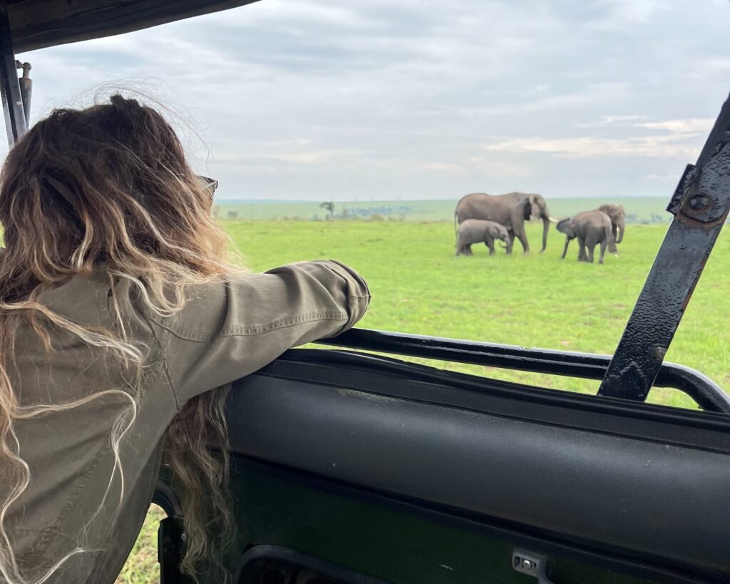 Osservazione degli elefanti durante un safari in jeep in Kenya, tappa dell’itinerario