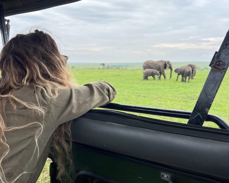 Osservazione degli elefanti durante un safari in jeep in Kenya, tappa dell’itinerario