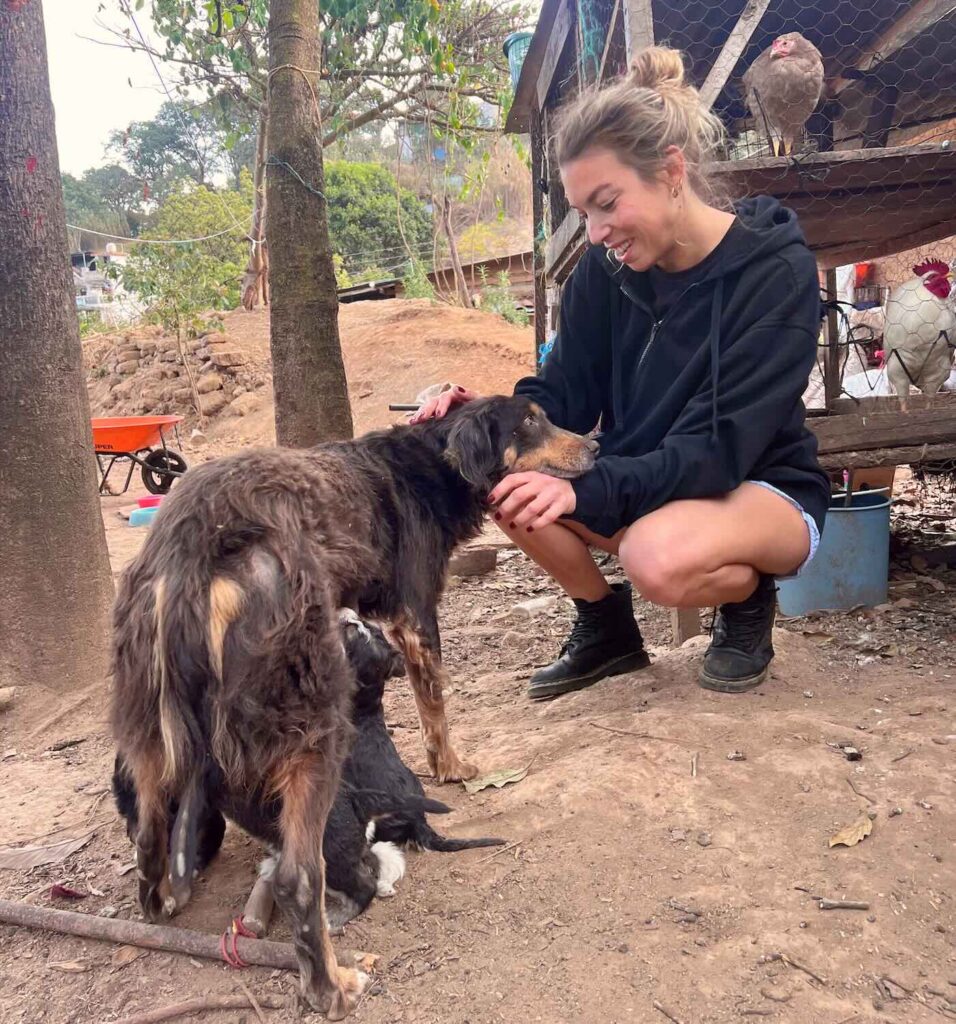 cortile di un alloggio a Chichicastenango con cani e atmosfera locale