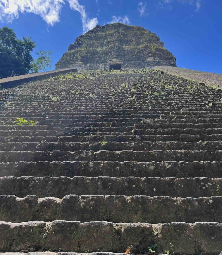 Tempio 5 di Tikal in Guatemala visto dalla base della piramide maya nella giungla
