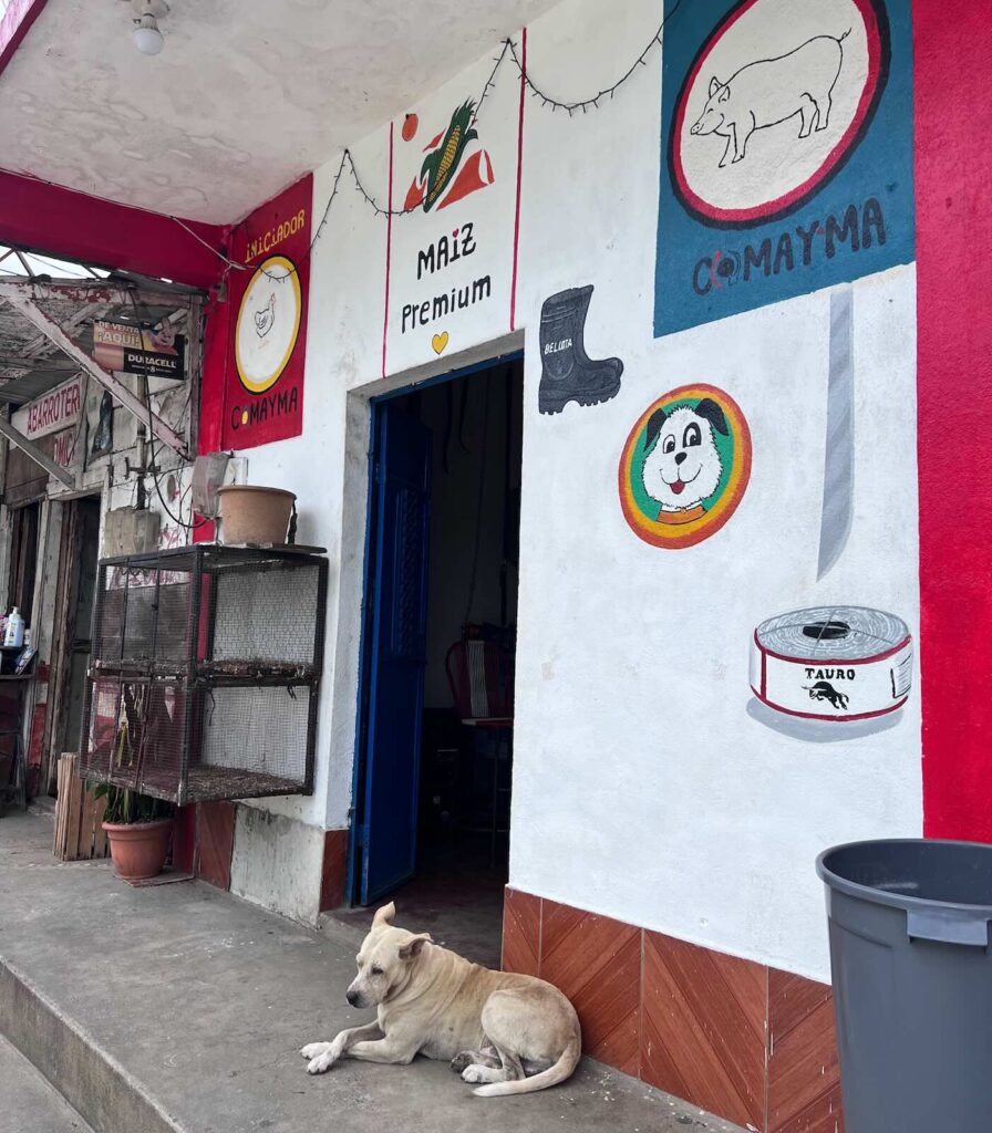 Livingston Guatemala vita quotidiana tra strade, murales e negozi locali