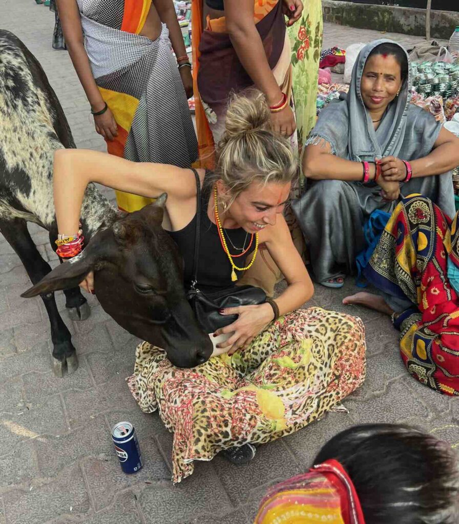 Mucca che osserva una partita a un gioco tradizionale tra gli abitanti di Orchha