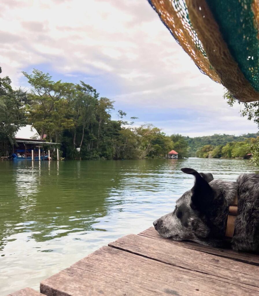 Vista sul Rio Dulce Guatemala tra giungla e palafitte