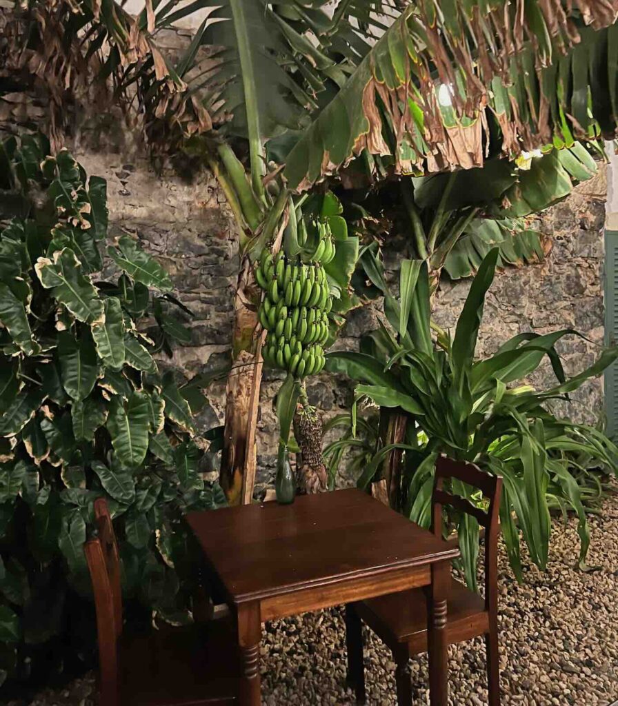 Giardino del ristorante Sodade Casa da Cultura a Sal Rei, Boa Vista Capo Verde