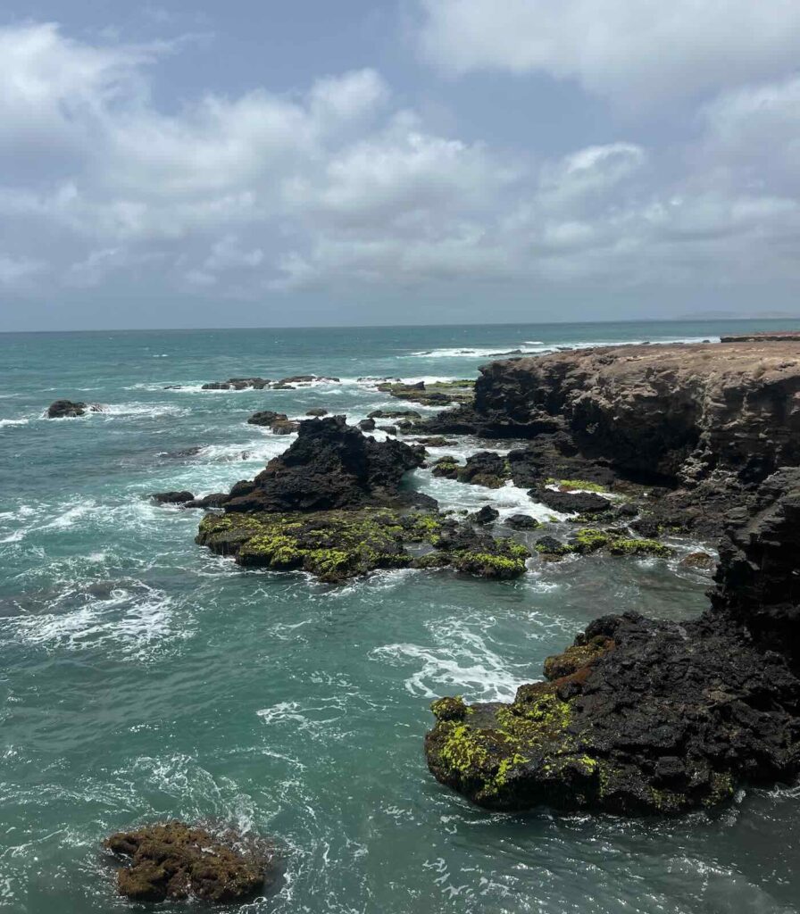 Turtle Bay tra le cose da vedere a Boa Vista