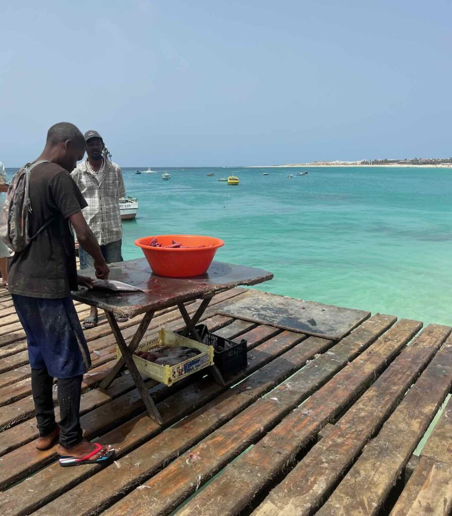 Mercato del pesce sul pontile di Santa Maria a Sal Capo Verde