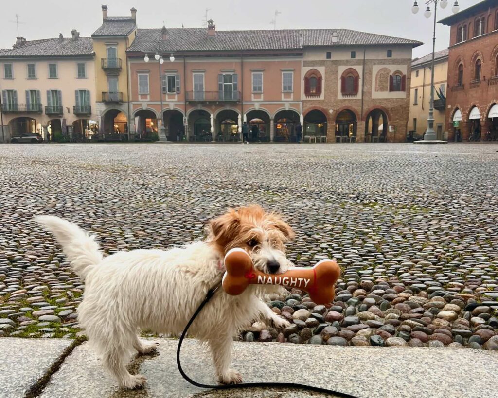 Cosa vedere a Lodi, Piazza della Vittoria