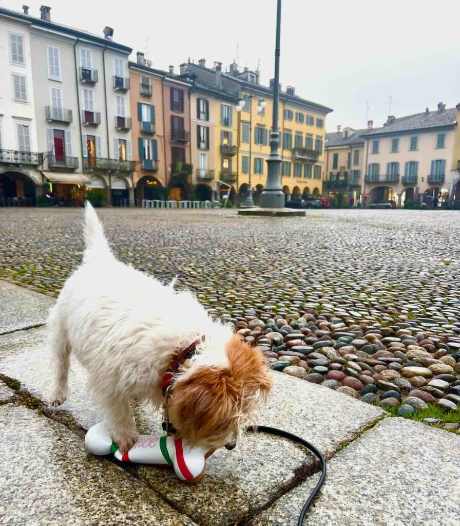 Vodka in Piazza della Vittoria durante una giornata a Lodi
